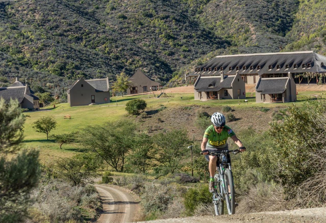 Lodge Rooiberg Van Wyksdorp