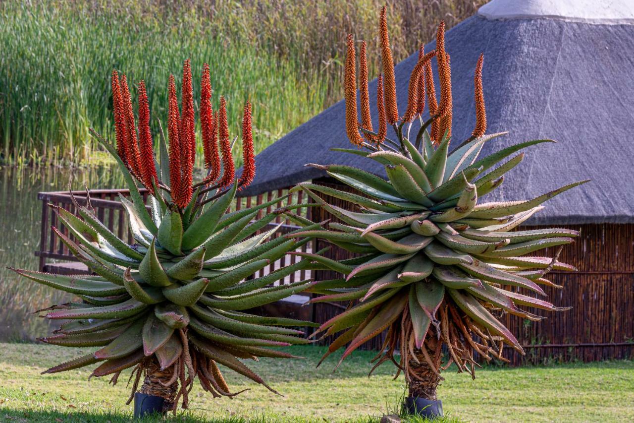 Rooiberg Lodge *